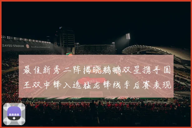 最佳新秀二阵揭晓鹈鹕双星携手国王双中锋入选猛龙锋线季后赛表现抢眼